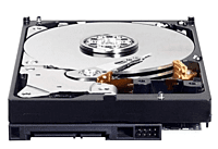 WD Internal Hard Disk Drive