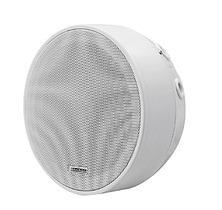 DSPPA 6.5 Inch Surface Mount Ceiling Speaker